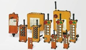 Radio Remote Control System